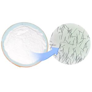 Anti-Falten-Spong illa Gewürze Lacustris-Extrakt Schwamm Spicules Peeling Bio-Mikron adel 70 99 Hydrolisiertes Schwamm-Spicule-Pulver - Product Image 1