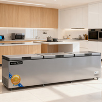 Freezer Horizontal Grosir untuk Medis, Kapasitas 700L, Bahan Stainless Steel 304, Freezer Komersial, Hemat Energi