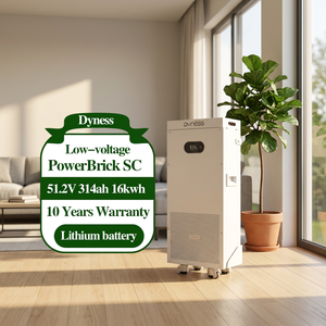 Batterie solaire Dyness PowerBrick SC 51.2V 314Ah 16.076kWh LiFePO4, courant élevé 200A, plus de 8000 cycles, système de stockage d'énergie domestique - Product Image 1