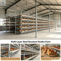Bâtiment d'élevage de poulets moderne en structure légère en acier |   Poulailler multi-étages intégré pour l'élevage intensif de poules pondeuses et de poulets de chair à grande échelle