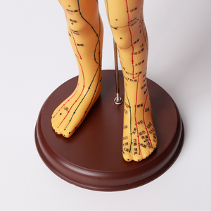 ZHongyan Taihe Science médicale 50cm modèle d'<span class=keywords><strong>acupuncture</strong></span> Point de corps - Product Image 4