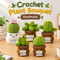 Plante succulente en pot au crochet faite à la main, carte de soutien émotionnel et d'encouragement positif, cadeau, décoration pour la maison et le bureau, personnalisable