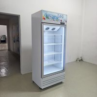 Réfrigérateur commercial pour boissons 550L, vitrine réfrigérée pour bières, congélateur commercial à porte vitrée, réfrigérateur de présentation pour magasin