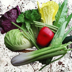 Vegetales Artificiales FloDecor al por Mayor, Apio, Berenjena, Pepino y Ajo de Plástico con Tacto Real para Cocina, Restaurante y Acción de Gracias - Product Image 3