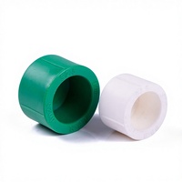 Bouchon de raccordement thermofusible cylindrique pour tuyaux d'alimentation en eau PPR, norme GB T 18742.3-2017, pour usage domestique, vente en gros