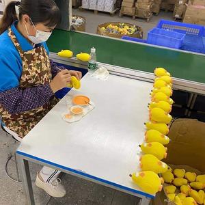 Honden Speelgoed Luxe Hond Piepend Speelgoed Veilig Latex Rubber Hond Kauwen Kies Interactief Speelgoed Voor Puppy Kleine Middelgrote Huisdieren - Product Image 5