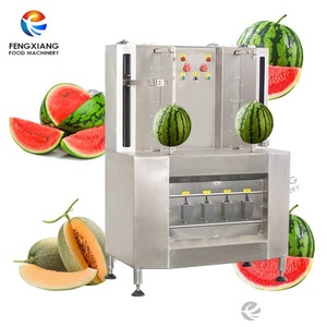 เครื่องปอกเปลือกผลไม้แบบสองหัว FXP-99 สำหรับแตงโมและผลไม้ประเภทอื่นๆ กำลังไฟ 1.7 กิโลวัตต์ ความจุ 300-480 ชิ้น/ชม. สำหรับใช้งานเชิงพาณิชย์ ประสิทธิภาพสูง ใช้พลังงานต่ำ - Product Image 1