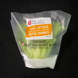 Pasokan pabrik makanan kelas makanan langsung selada dengan kemasan plastik akar Logo desain kustom tas sayuran buah gantung bibir