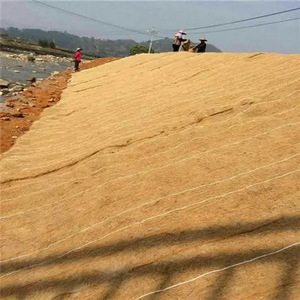 Nete Dừa Xơ xơ dừa hiện đại thoát nước dam đất bảo tồn Mat & chăn 2-năm bảo hành 24-trong Chiều rộng cho nhà máy Hạt Giống Cỏ - Product Image 3