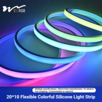 Guirlandes lumineuses LED en silicone flexible 20*10mm, télécommande, 96 LED/m, 24V, IP65, étanches, éclairage ambiant extérieur pour publicité