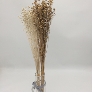 Fleurs séchées Sesamum indicum Flax Fait à la main Préservé Naturel Fleurs et plantes décoratives pour mariage Décoration de la maison - Product Image 5