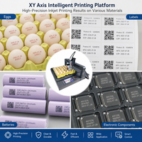 Plataforma de Impresión Inteligente XY Axis, Máquina de Codificación por Lotes con Tinta de Grado Alimenticio de 300 DPI para Granjas Avícolas