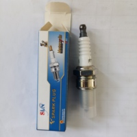Pièces de rechange pour générateur d'essence SeaSummer GX160 168F Spark Plug F7TC