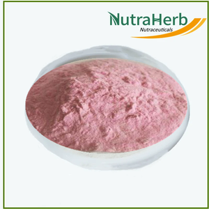 Hot Sale <strong>Acerola</strong> <strong>Cherry</strong> Fruit Extract Powder High Quality Pure Natural Sweet <strong>Cherry</strong> Powder <strong>Cherry</strong> Flavor Powder - Product Image 3