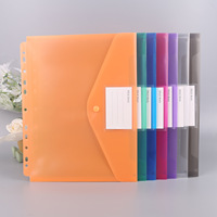 Organizador de Bolsillo, Bolsa para Documentos, Archivador Expandible, Sobres de Plástico, Carpetas con 11 Anillos para Archivador