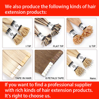 Cheveux indiens vierges non traités en vrac 100% cheveux humains remy double dessin ombre lisse blond 613 vente en gros extensions de cheveux en vrac