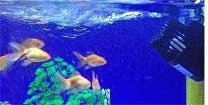 Sobo pompa air untuk akuarium, pompa air pembuat gelombang kecil dapat disesuaikan 8W 10W 15W - Product Image 5