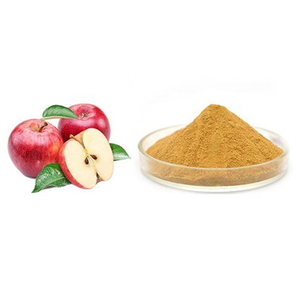 Qualité alimentaire pour Natura CAS 60-82-2 extrait de peau de pomme poudre de phlorétine 98% test approvisionnement d'usine commande minimale 1kg - Product Image 3