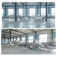 Professionele groente- en fruitwasmachine, fruit- en groentedesinfectiemachine, mangofruit snijmachine