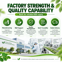 Capsules de poudre de feuilles de Moringa Oleifera, superaliment riche en nutriments pour la vitalité, booster d'énergie, soutien de la santé immunitaire, OEM