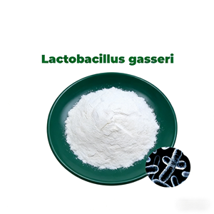 Poudre de probiotiques de qualité alimentaire OEM, <span class=keywords><strong>Lactobacillus</strong></span> <span class=keywords><strong>Gasseri</strong></span>, 1 kg/sac, produit pour la santé humaine à vendre - Product Image 1
