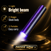 Senter UV LED USB-C Isi Ulang Industri ABS Mini Kuat 395nm Ultraviolet Cahaya Hitam Warna Ungu Tegangan Input 3.7V