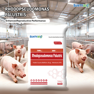Bacterias fotosintéticas para acuicultura, aminoácidos de grado alimenticio, aditivos para alimento de peces y camarones - Product Image 6