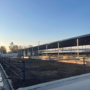 Yüksek kapasiteli sığır ahır-500 + İnekler, otomatik gübre kaldırma - Product Image 2