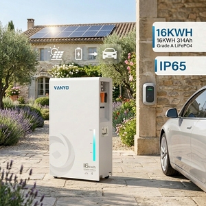 VANYO Batteria Solare IP65 314Ah 51.2V 16.07kWh per Accumulo Energetico Domestico, Produttore BESS - Product Image 2