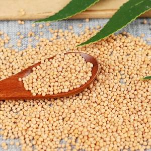 Semillas de Sinapis Secas sin Azufre al por Mayor, Hierba China para Calentar los Pulmones y Resolver la Flema, para Medicina Herbal Tradicional - Product Image 4