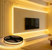 Bande LED Flexible IP45 Certifiée CE, Longueur 10m, SMD 2835, Forme en S Pliable, 60/120 LED, Tension 12V CC, RoHS, 5m
