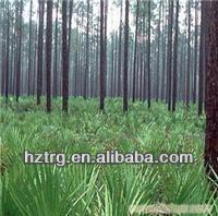 Polvere di Serenoa Repens Saw Palmetto 45% Acidi Grassi, Estratto Premium per Salute Urinaria e Supporto Ormonale - Product Image 2