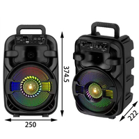 Enceinte sans fil DR-809 de 8 pouces, 20W de puissance, éclairage RGB, prise en charge des cartes mémoire 5.0, pour la scène - Commande en gros