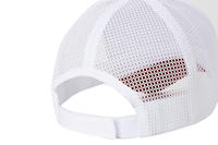 Klaar Schip Groothandel Hoge Kwaliteit 5-Panel Trucker Mesh Cap Gebogen Rand Snapback Hoed Gorras Voor Dagelijks Gebruik Met Blad Stip