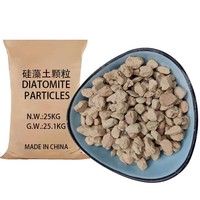 Poudre d'argile diatomée de haute pureté, diatomite naturelle, agent filtrant pour la filtration de la bière, du vin, de l'huile comestible et du sucre