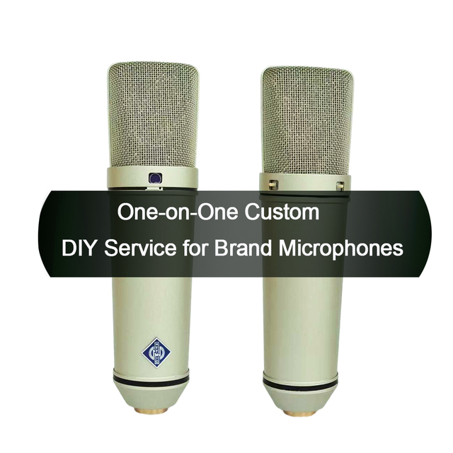 One-on-One Custom Microphone Service High Cost-Performance Sound Tone Replication Mic DIY Appearance Shell Private Mold ODM