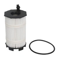 Yeni 079198405B Motor Yağ Filtresi Audi 4.2 V8 FSI Motor için - Fabrika Toptan Fiyatı OE 079115561f/079115561k/079198405e ile uyumlu
