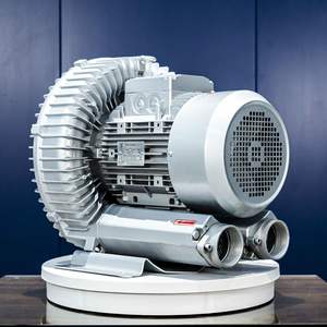 Ventilateur industriel d'aération d'étang souffleur d'air régénératif souffleur annulaire pour l'oxygénation de l'étang à poissons - Product Image 1