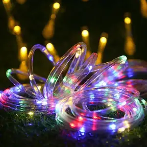 Cheap Price Attractive Led Rope Lights For House Church Decoration Landscape Lighting
