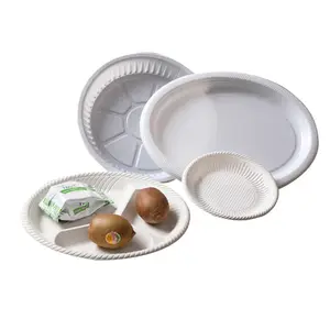 Sicherheit Foodgrade Biologisch Abbaubar Material Einweg Kunststoff Bagasse Lebensmittel Container