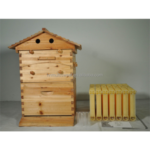 Tổ Ong tự động chảy <span class=keywords><strong>Bee</strong></span> phát ban Hộp kit cấp thực phẩm nghề nuôi ong với 7 cái mật ong chảy khung cho nghề nuôi ong - Product Image 2