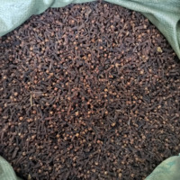 TONGJIN Chine Prix de Gros Clous de Girofle de Qualité Supérieure Épice Alimentaire Cultivée Naturellement