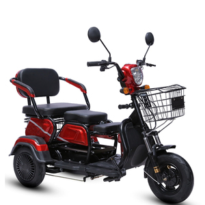 Tricycles électriques tout-terrain personnalisés 48V 12AH 20AH 32AH 500W pour passagers, vente en gros directe usine - Product Image 1