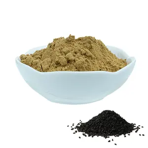 Supply Black Cumin Seed Extract Powder Nigella Sativa Extract 5% 20%Thymoquinone Powder