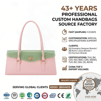 Sac à main en TPU souple vert pistache, sac hobo élégant et décontracté, sac à main chic pour femmes, sac à main OEM personnalisé