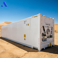 Container Refrigerato da 45 Piedi Certificato BV con Unità di Raffreddamento Thermo King, Congelatore da 45 Piedi a Qingdao