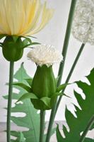 Fleur de pissenlit géante en papier blanc faite à la main N461 pour la décoration murale de mariage et de fête, pour la vitrine, ensemble de fête