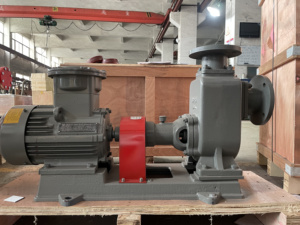 Self-priming Centrifugal Oil Pump CYZ-A OEM Mechanical Seal Industrial Use 6m Suction Diesel/<b>Gasoline</b>/Kerosene - Product Image 5