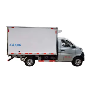 Small refrigerated truck for transporting frozen vegetables directly from the factory