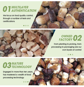 <span class=keywords><strong>Precio</strong></span> directo de fábrica China <span class=keywords><strong>Boletus</strong></span> <span class=keywords><strong>Edulis</strong></span> Mushroom IQF Frozen Wild <span class=keywords><strong>Boletus</strong></span> <span class=keywords><strong>Edulis</strong></span> - Product Image 5